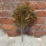 Orange Yew Bush 16”