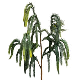 Real Touch Norfolk Pine 36"