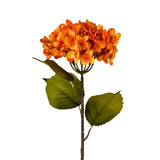 Meadows Orange Hydrangea 27"