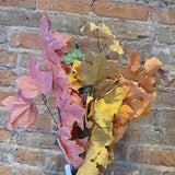 Fall Leaf Pick