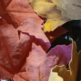 Fall Leaf Pick