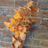 Fall Leaf Pick