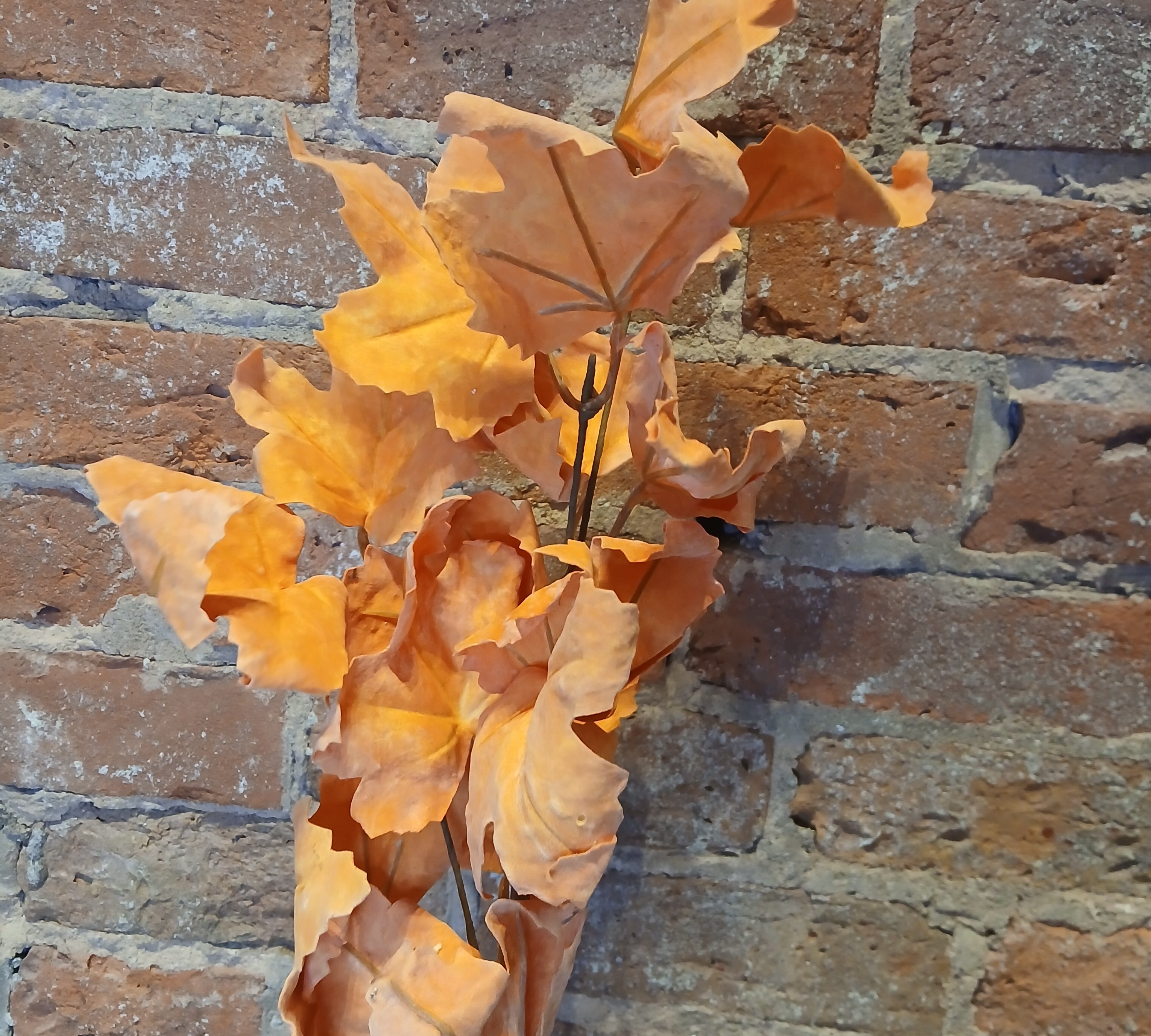 Fall Leaf Pick
