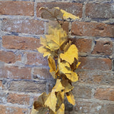 Fall Leaf Pick