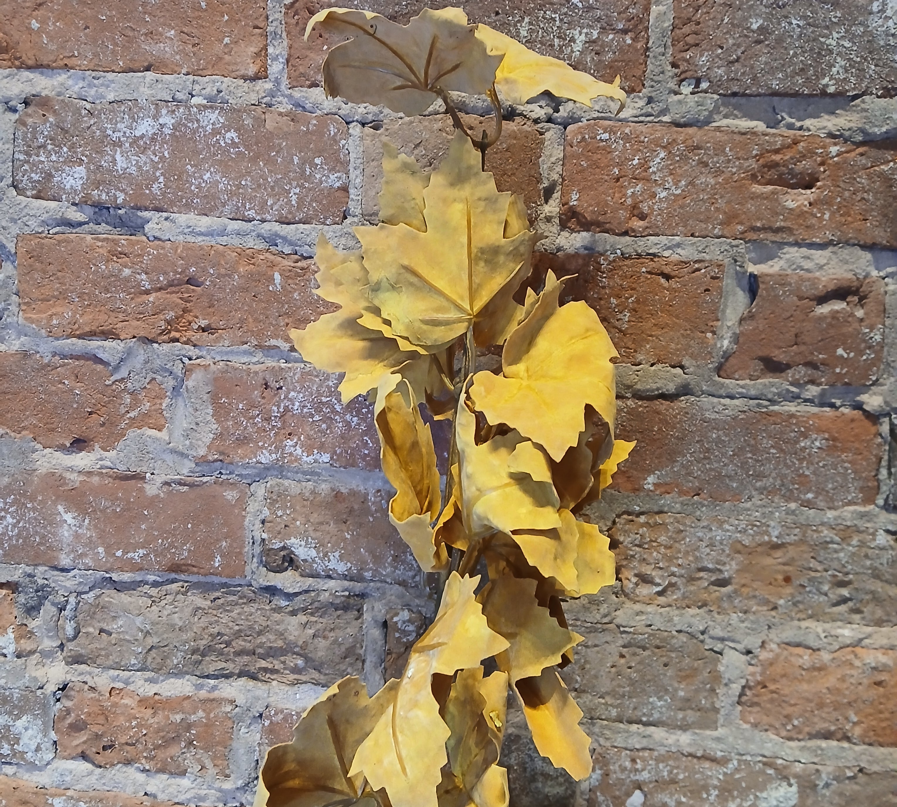 Fall Leaf Pick