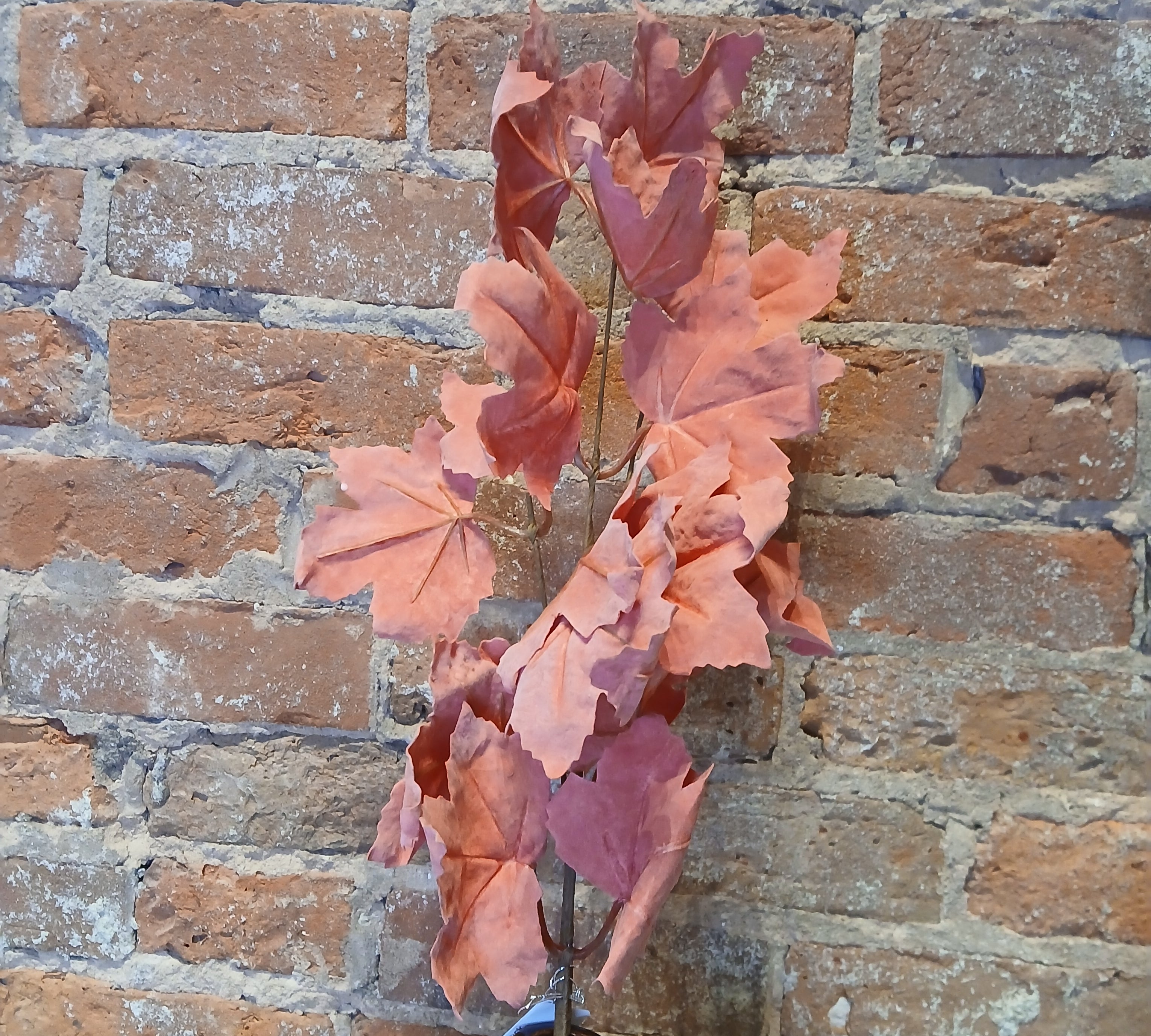 Fall Leaf Pick