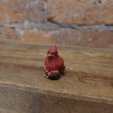 Blessing Cardinal Stone