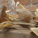 Wild Autumn Copper Beech Spray 37"