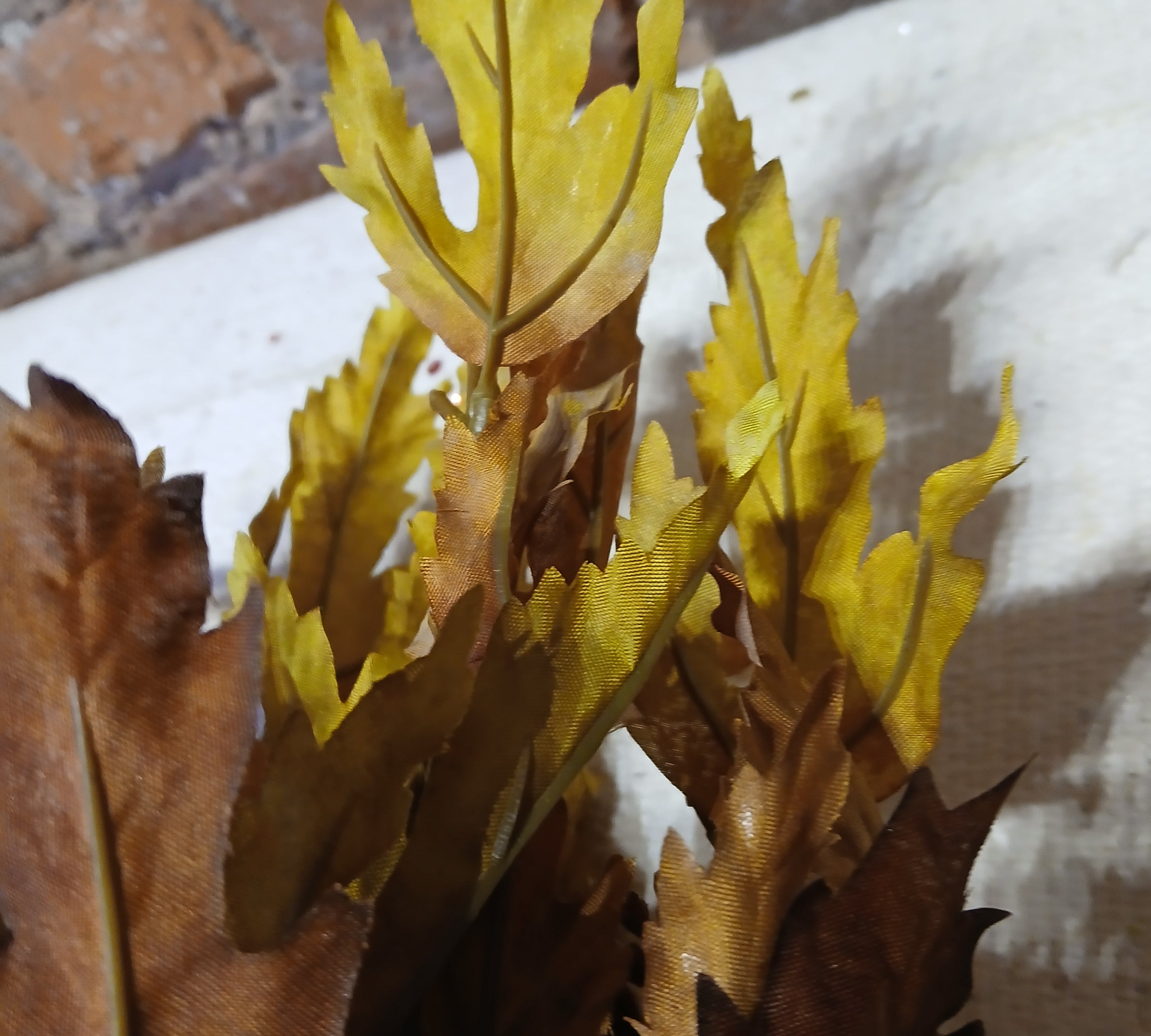 Maple Leaf Bundle 19”