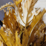 Maple Leaf Bundle 19”