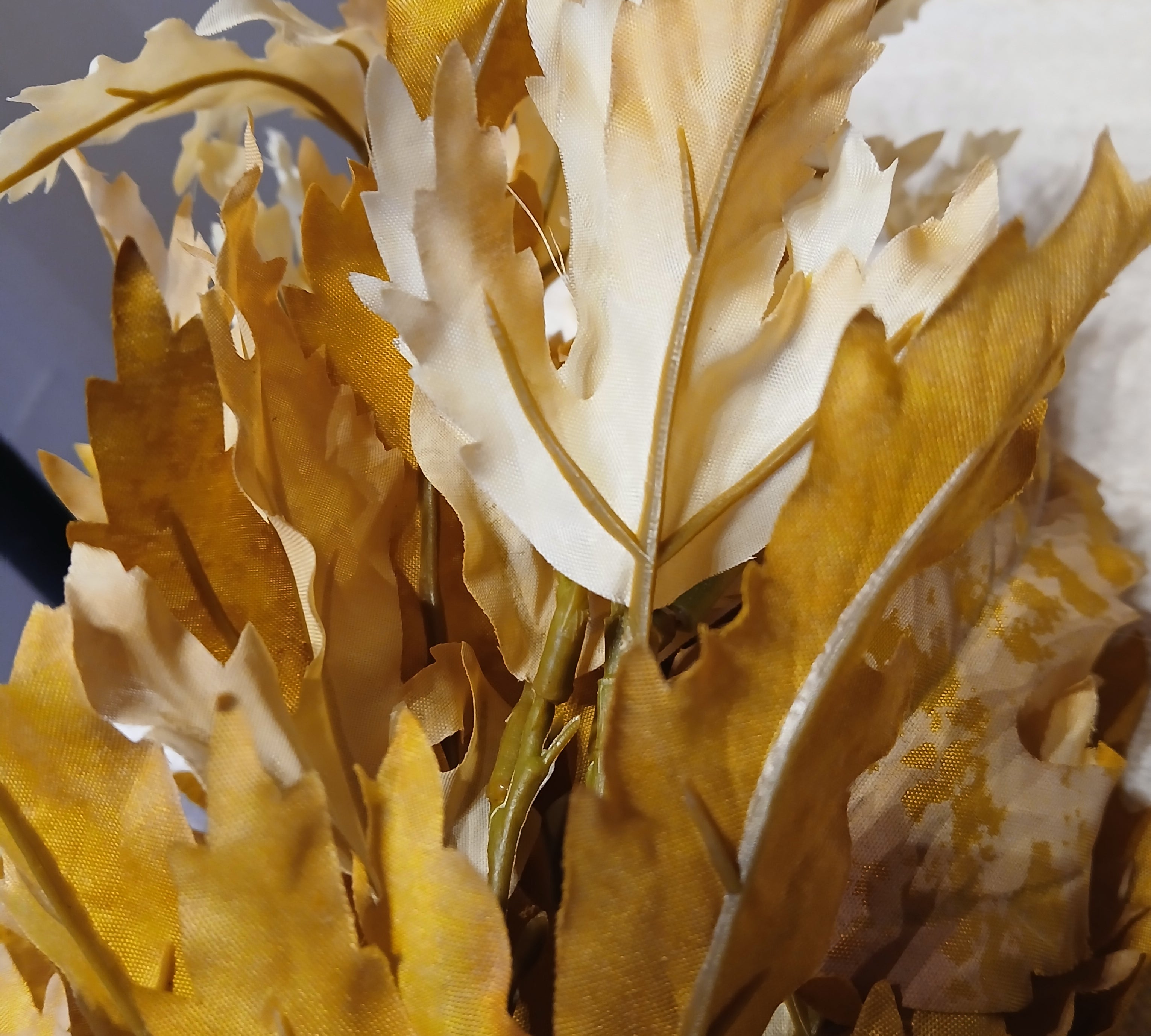 Maple Leaf Bundle 19”