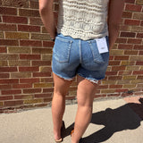 Vervet High Rise Raw Hem Boyfriend Shorts
