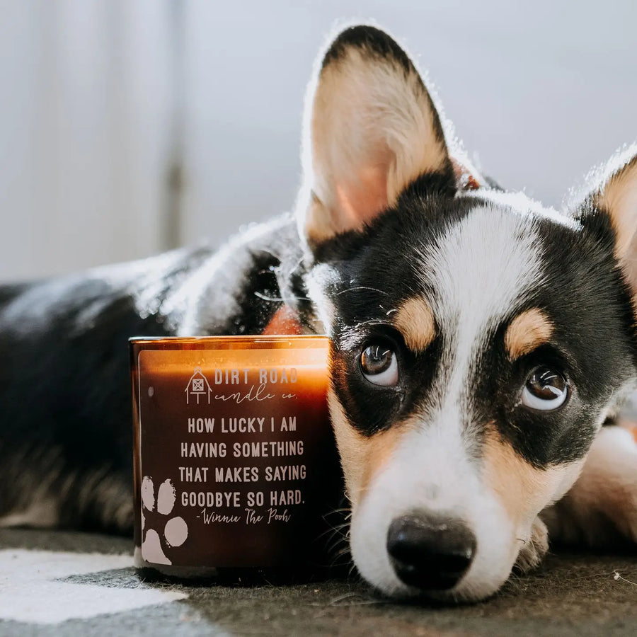 DR Pet Loss Candle 10oz