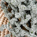 Foam Bead Pick 10”