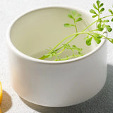 Matte Round Modern Soup Bowl 14oz