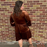 Chicory Coffee Solid Velvet Long Sleeve Tiered Dress