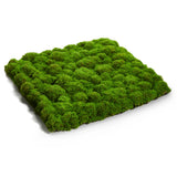 Moss Mat 20"