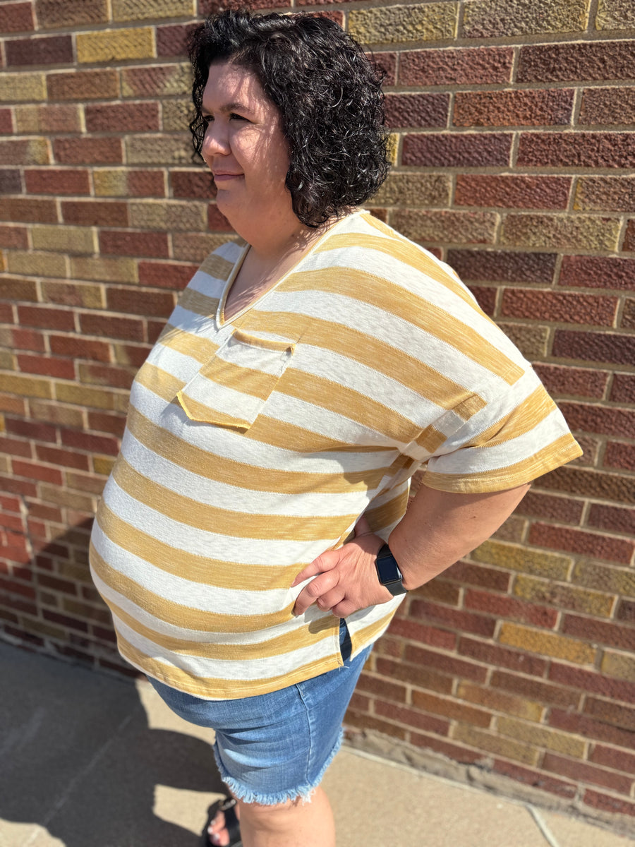 Plus Heather Striped V-Neck Top