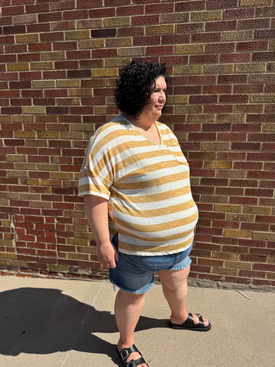 Plus Heather Striped V-Neck Top