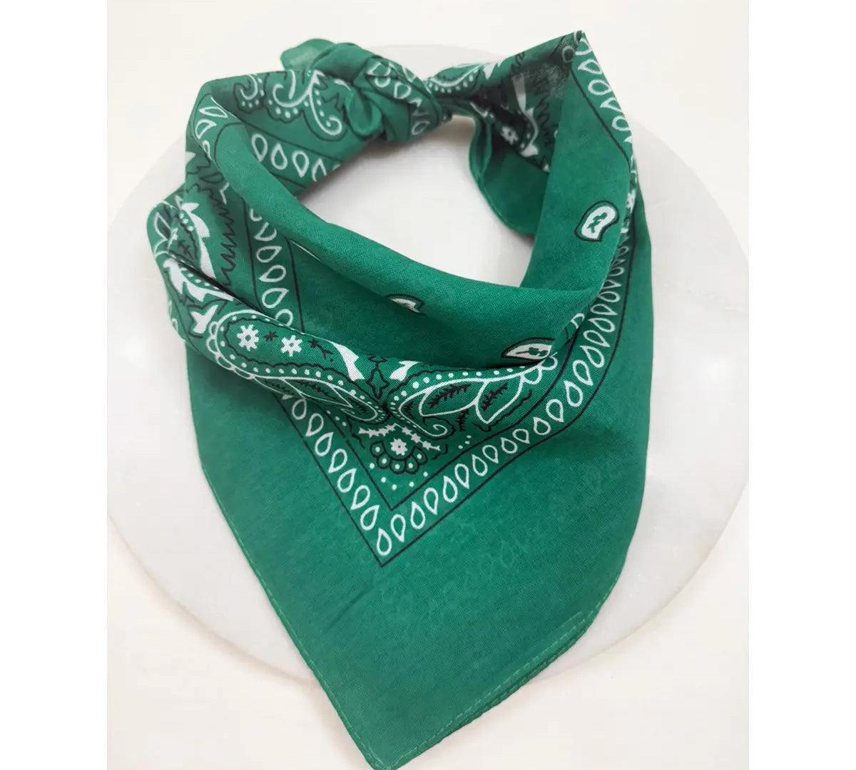 Paisley Pattern Bandana