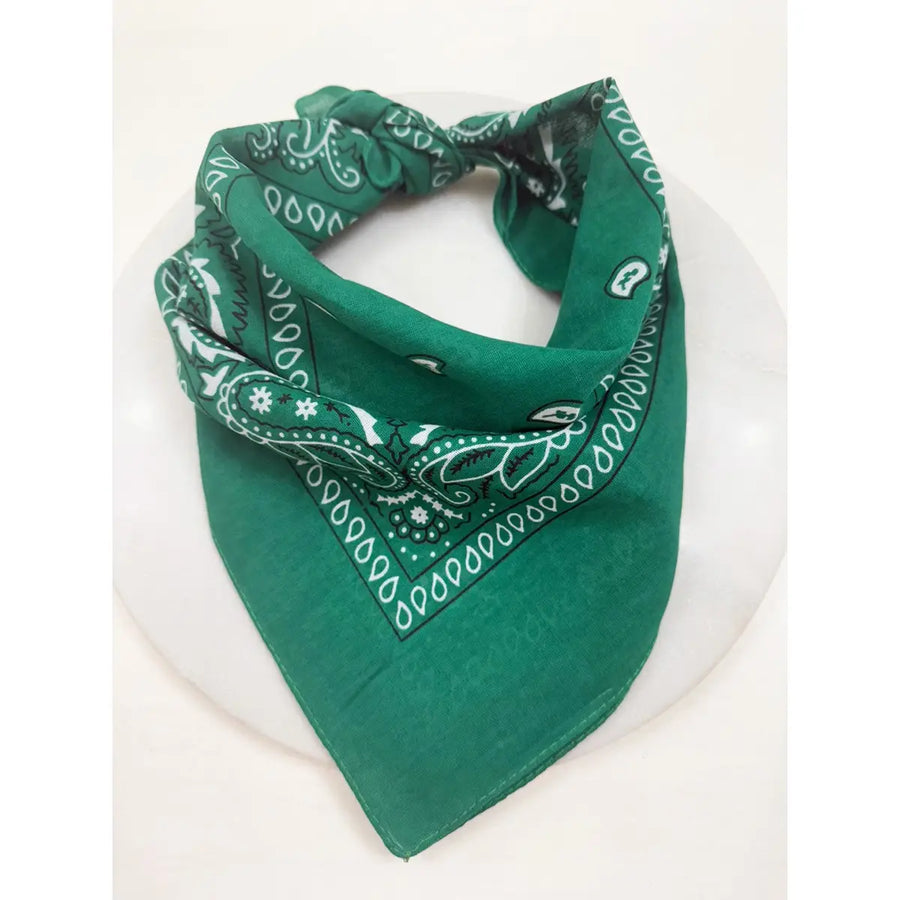 Paisley Pattern Bandana