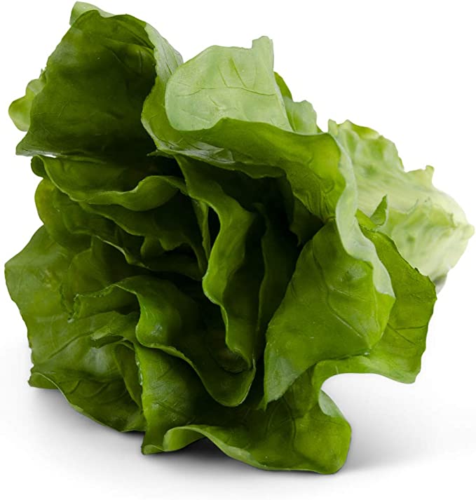 Real Touch Romaine Lettuce
