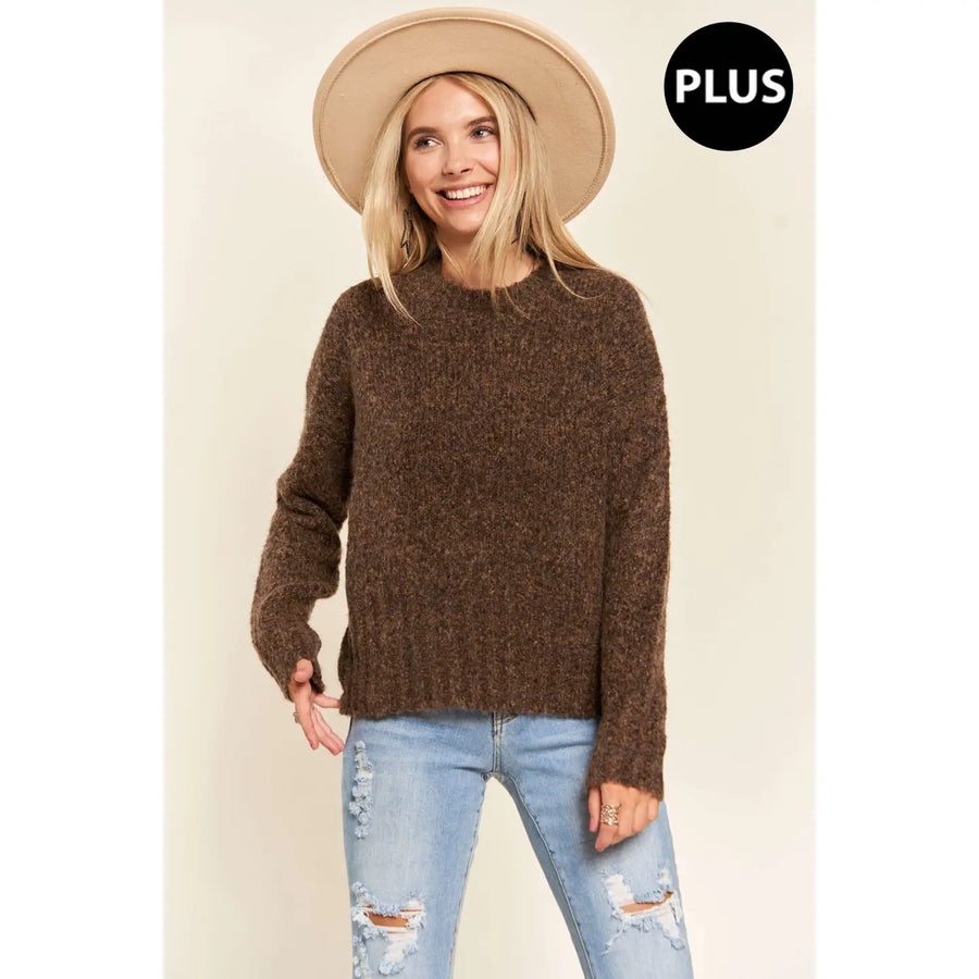 Plus Two Tone Fuzzy Sweater