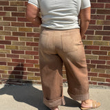 Plus Striped Barrel Carpenter Pants