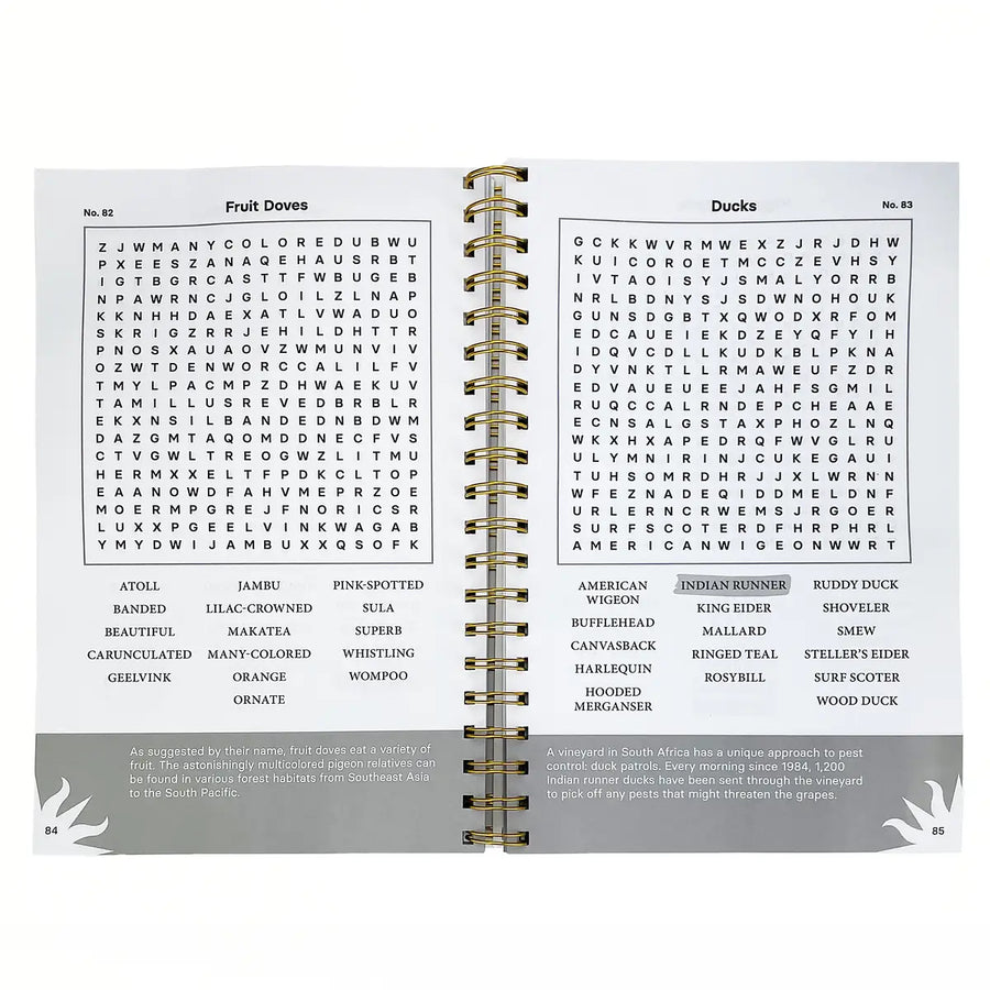 Word Search Birds of World Feathers