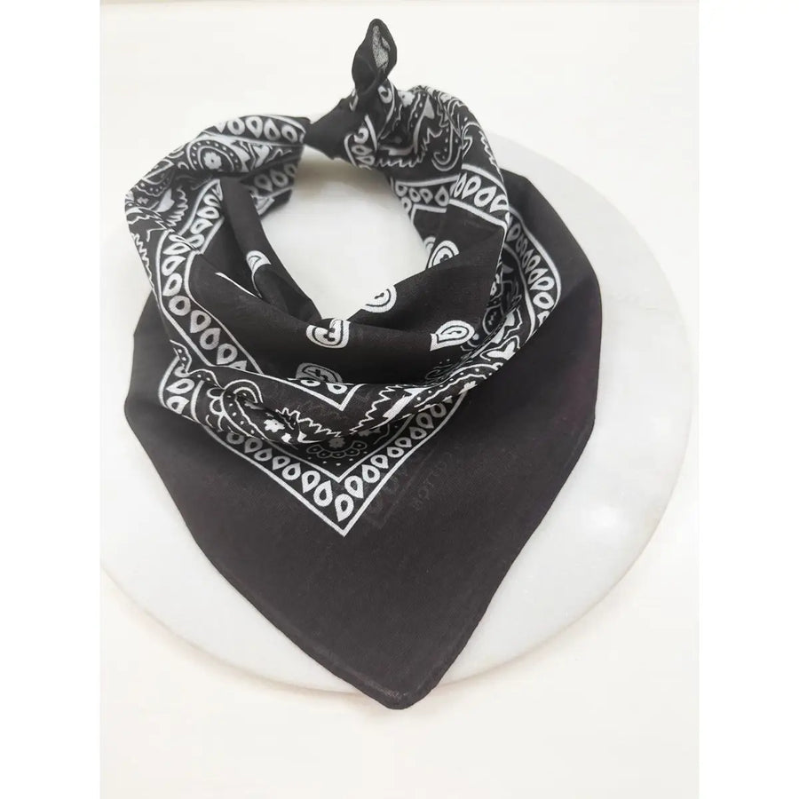 Paisley Pattern Bandana