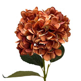 Terra Cotta Hydrangea Stem 24"
