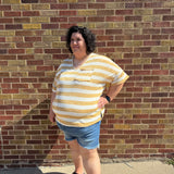 Plus Heather Striped V-Neck Top