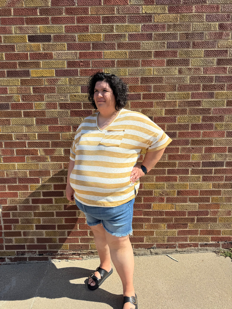 Plus Heather Striped V-Neck Top