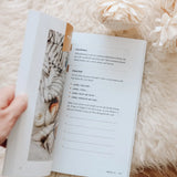 Fix Your Focus Book