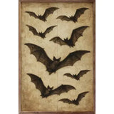 Brown Bats Sign 10x16"
