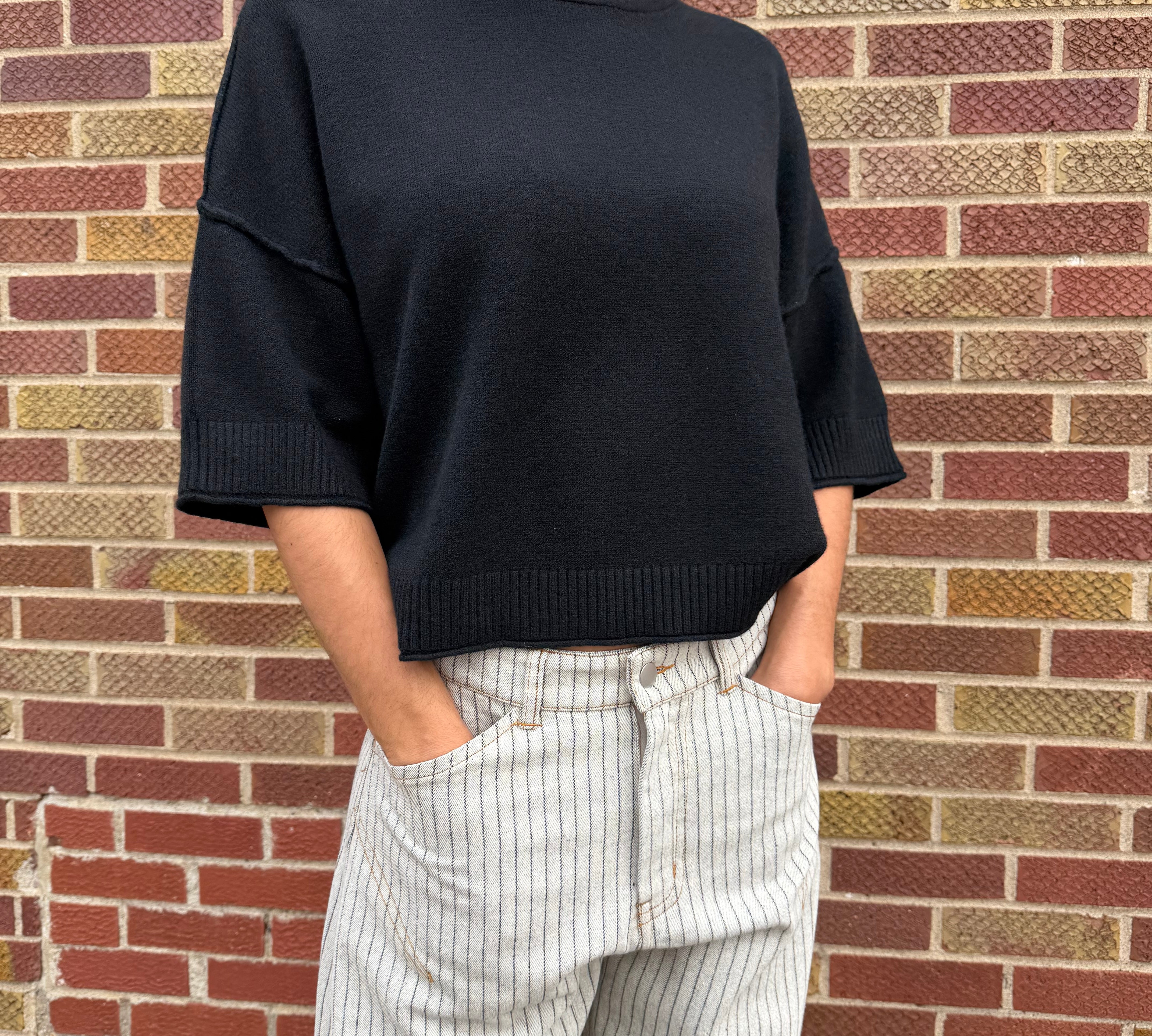 Soft Knit Short Sleeve Sweater Top