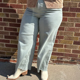 Plus Cotton Twill Wide Pant