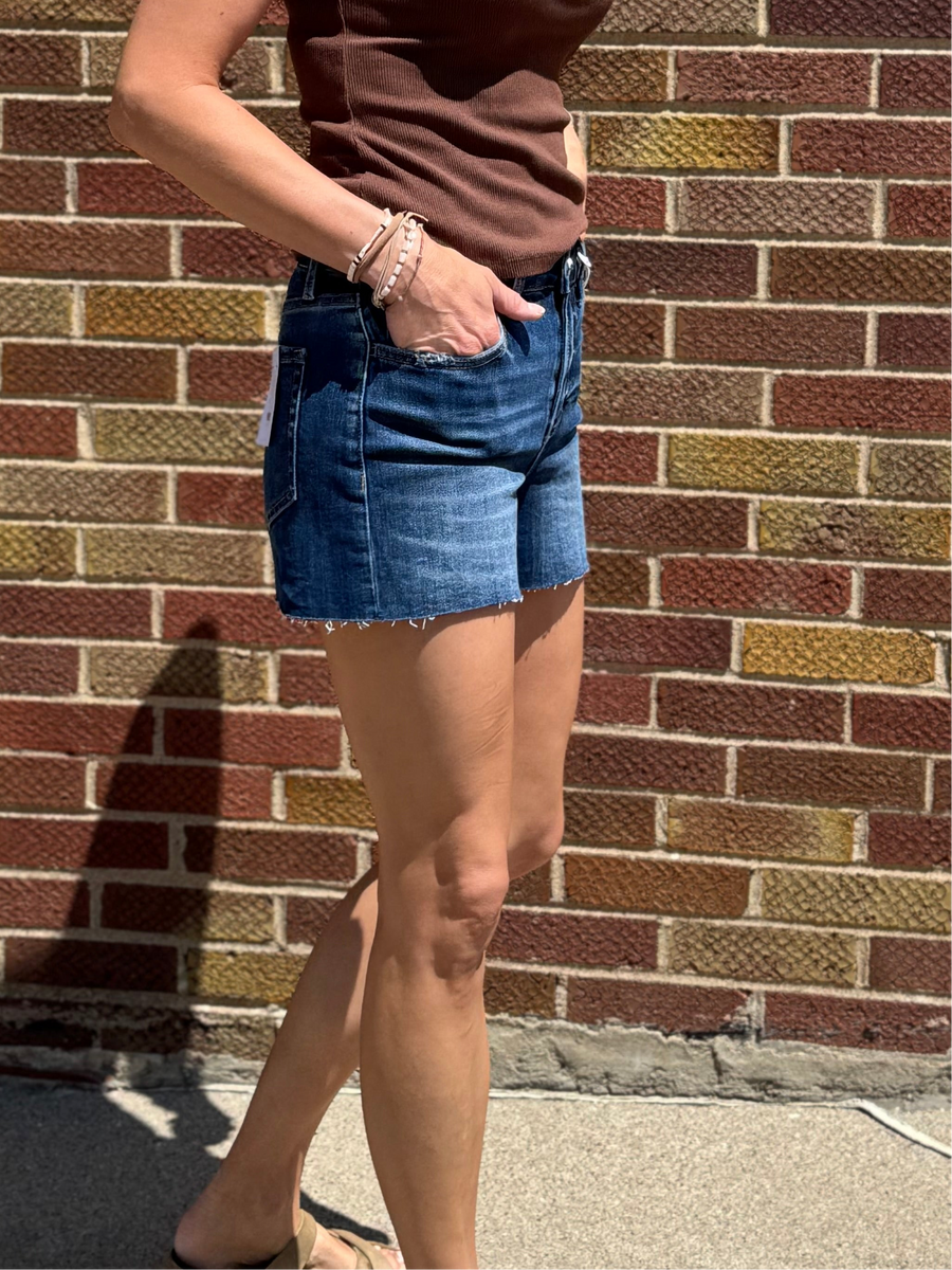 High Rise Clean Cut Raw Hem Vervet Denim Shorts