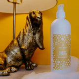 DR Dog Shampoo