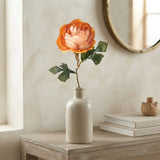 Apricot Ranunculus Stem 15"