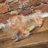 Glitter Weenie Dog Squishy
