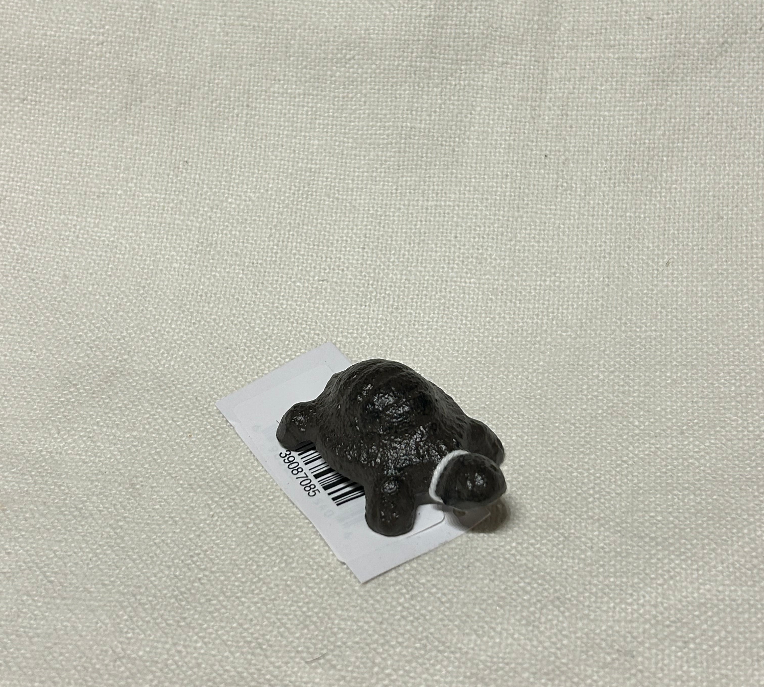 Mini Turtle 2"