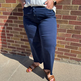Plus Chromatic High Rise Wide Crop Mica Jean