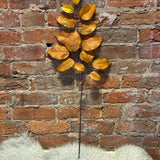 Autumn Salal Leaf Spray 29”