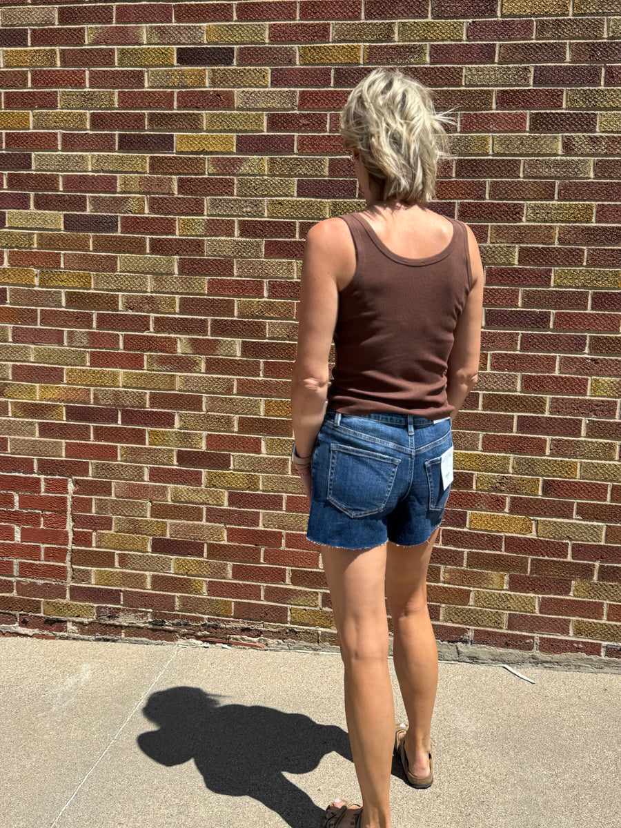 High Rise Clean Cut Raw Hem Vervet Denim Shorts