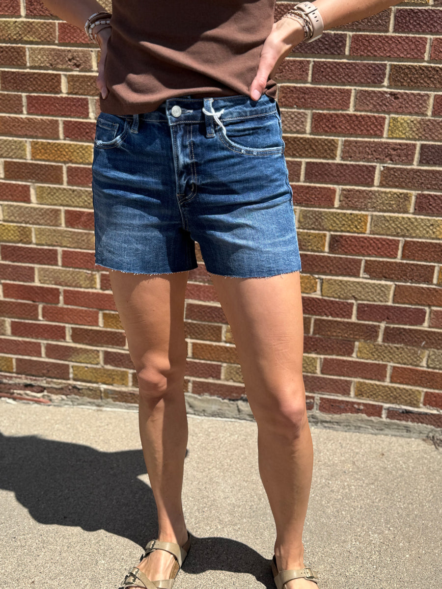 High Rise Clean Cut Raw Hem Vervet Denim Shorts