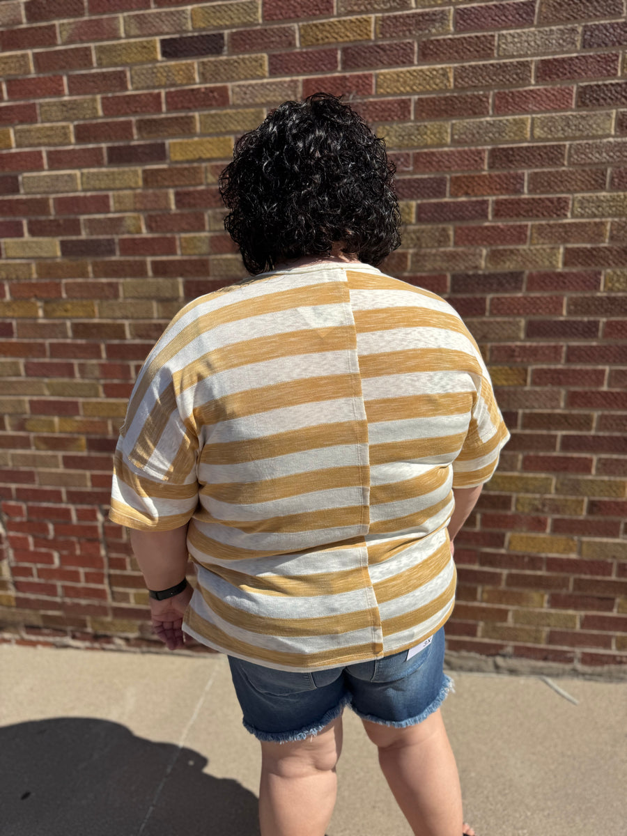 Plus Heather Striped V-Neck Top