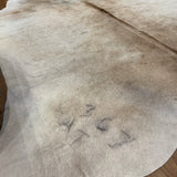 Authentic Cow Hide Rug