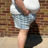 Plus Judy Blue Stars & Stripes Shorts