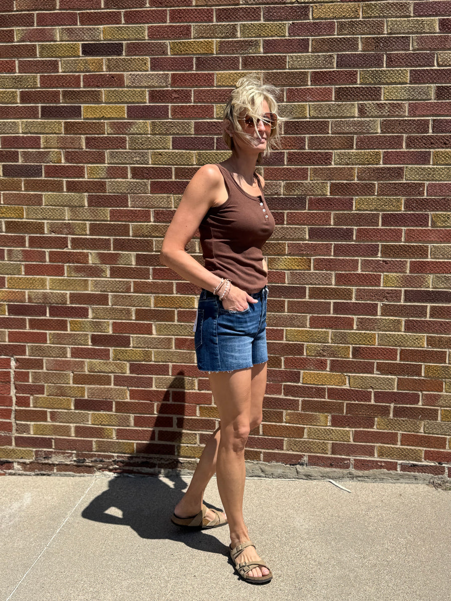 High Rise Clean Cut Raw Hem Vervet Denim Shorts